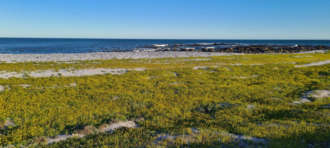 Oystercatcher Villa St Helena Bay Luaran gambar